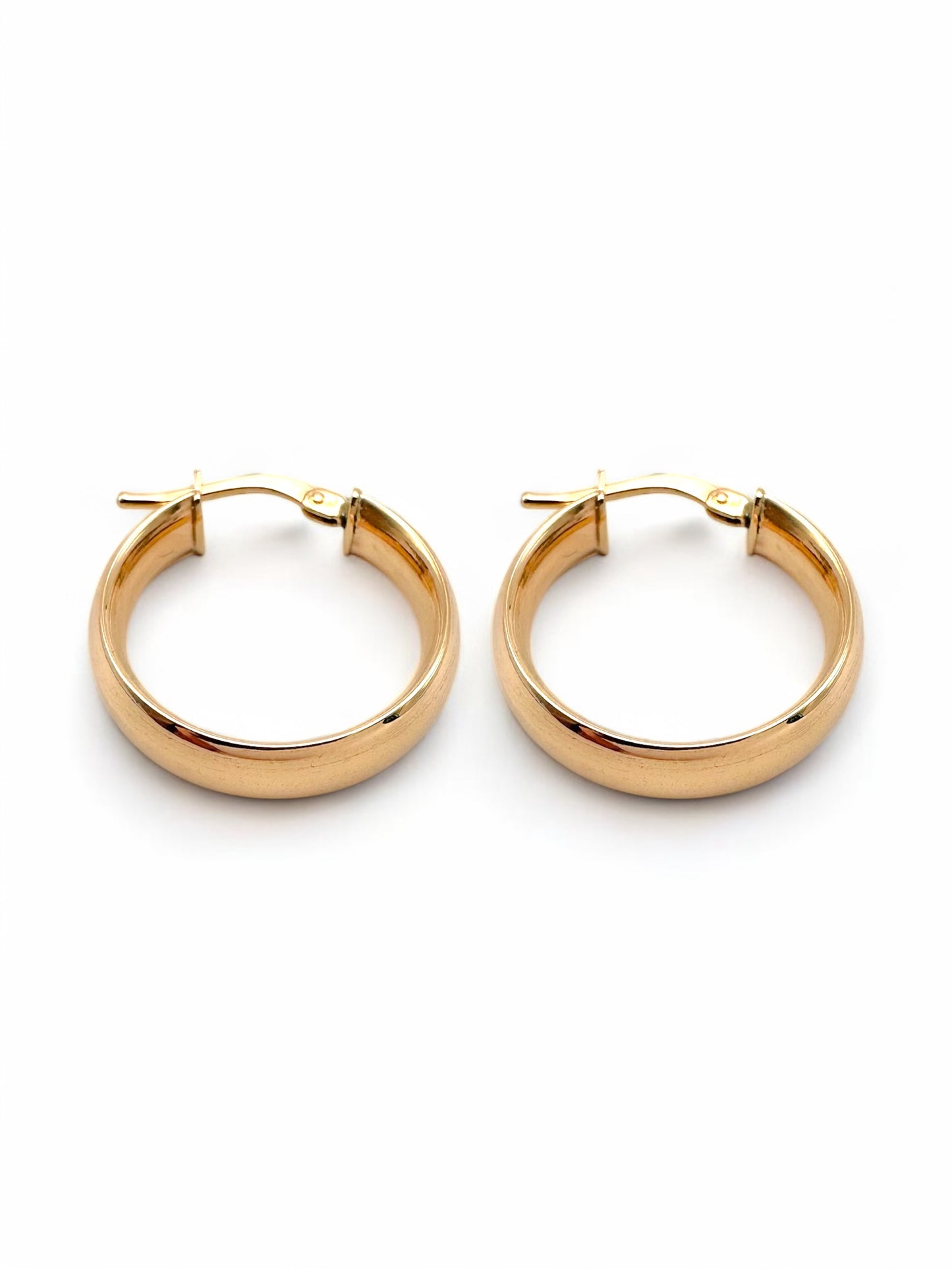 Luna Gold gold earrings