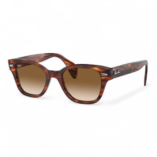 Ray-Ban RB0880S 954/51