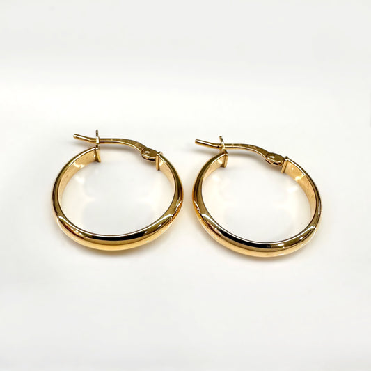 Zlatne naušnice Radiant Hoops