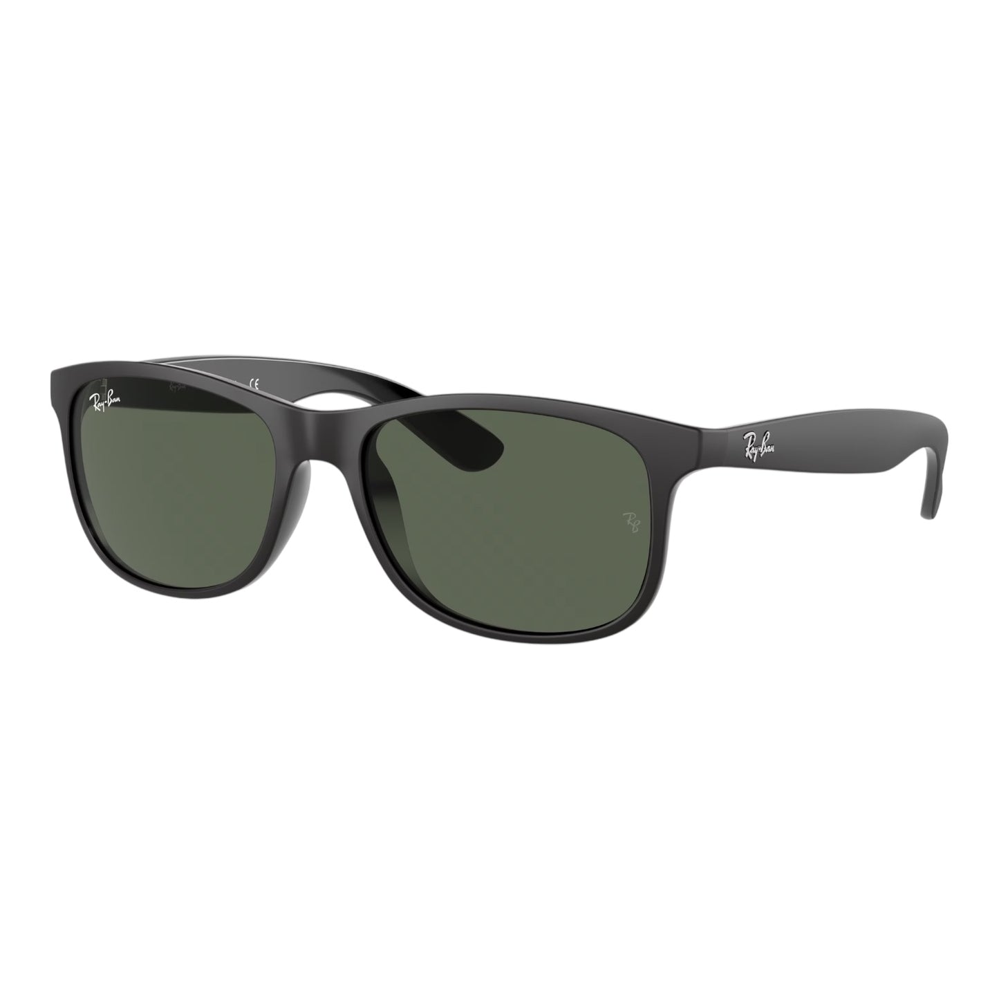 Ray-Ban RB4202