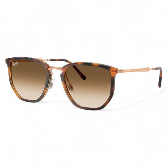 Ray-Ban RB4451 680451
