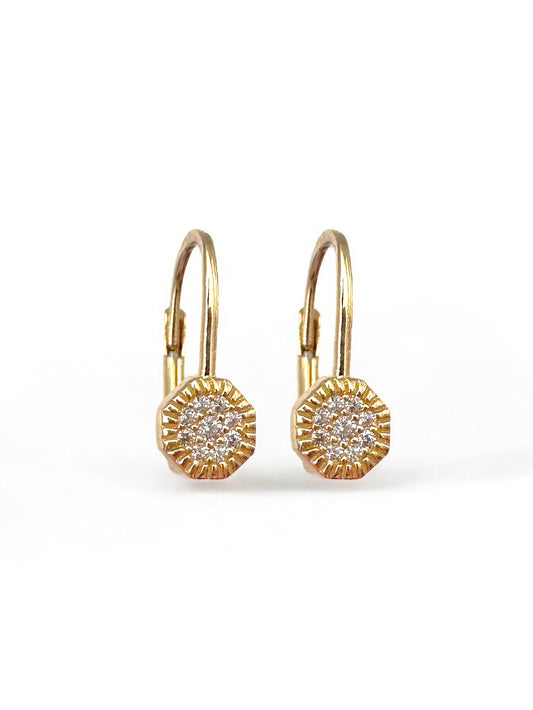 Shine gold earrings